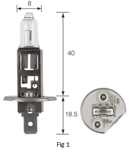 H1 Halogen Globes