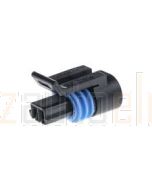 Delphi P-12162193 HOUSING PLUG BLK.BODY 2 CIR. 150 M/PACK