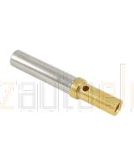 Deutsch 0462-201-1631 Size 16 Gold Socket