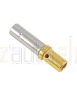 Deutsch 0462-210-1231 Size 12 Gold Socket