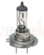 Hella H7 Premium Long Life Halogen Globe - Plus 100 (CA2470LTS)