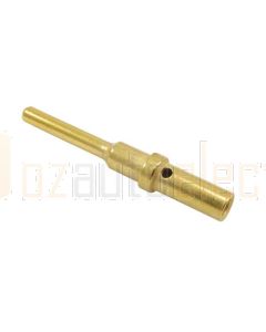 Deutsch 0460-202-1631/100 Gold Pin Size 16