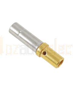 Deutsch 0462-210-1231 Size 12 Gold Socket