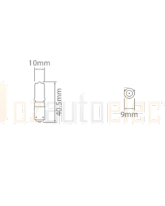 Ionnic 64136 Globe Halogen 12V 21W BAY9s