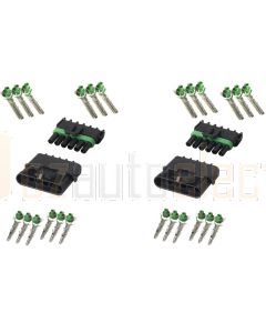 Delphi P-WP6/2 6 Circuit Weather Pack Kit