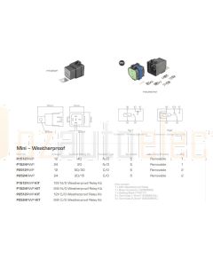 Ionnic P2524RWP-KIT 24V C/O Weatherproof Relay Kit